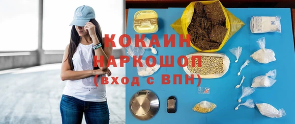 стаф Осинники