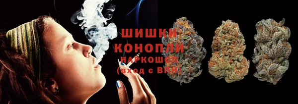 стаф Осинники