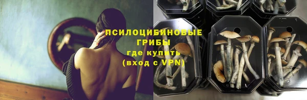 стаф Осинники
