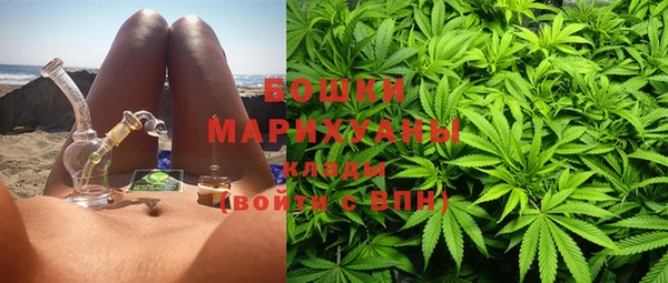 стаф Осинники