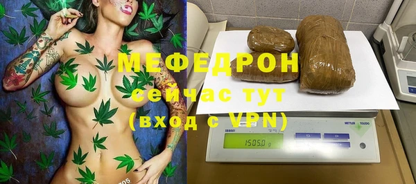 стаф Осинники