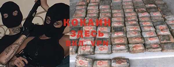 прущие крисы Няндома