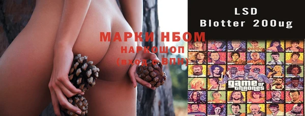 стаф Осинники