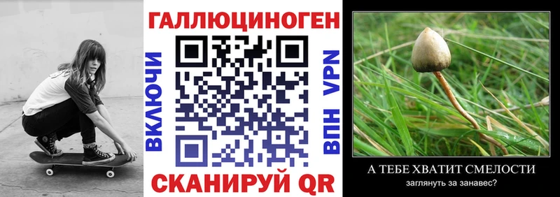 Купить закладки  Судогда  Галлюциногенные грибы GOLDEN TEACHER 